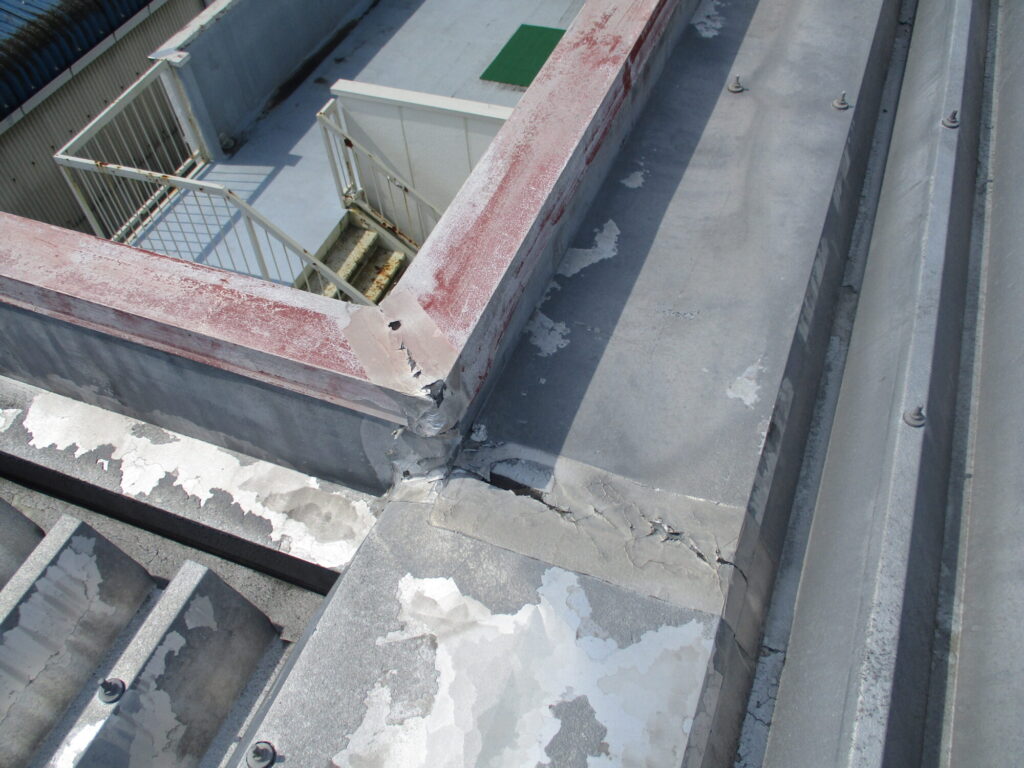 雨漏り応急劣化